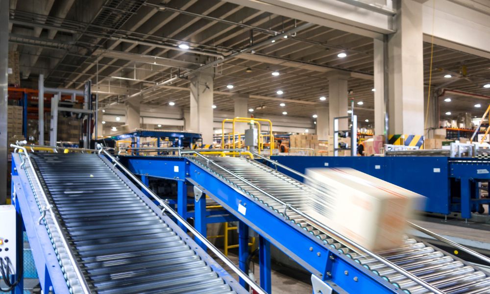 The Key Components of Any Automated Packaging Line
